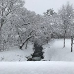 11月25日　豪雪が降った庭園