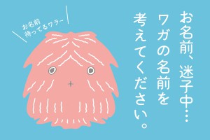 Haystacks_mascot_HP-top
