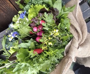 【F1】Akechan ファームラボ：季節の野菜と木の実 ソルト(ナッツソルト)