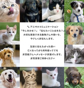 【O1】アイりんアニマルコミュニケーション／動物の気持ちを伝える