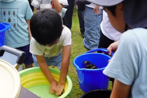 何匹釣れたかな？