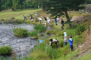 この日だけ特別に美術館を流れる川の近くでザリガニ釣り（駆除）を体験！