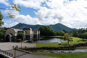 夏の清涼感溢れる庭園