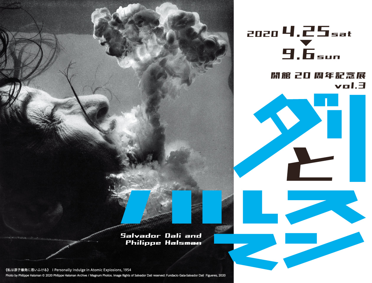 ダリとハルスマン